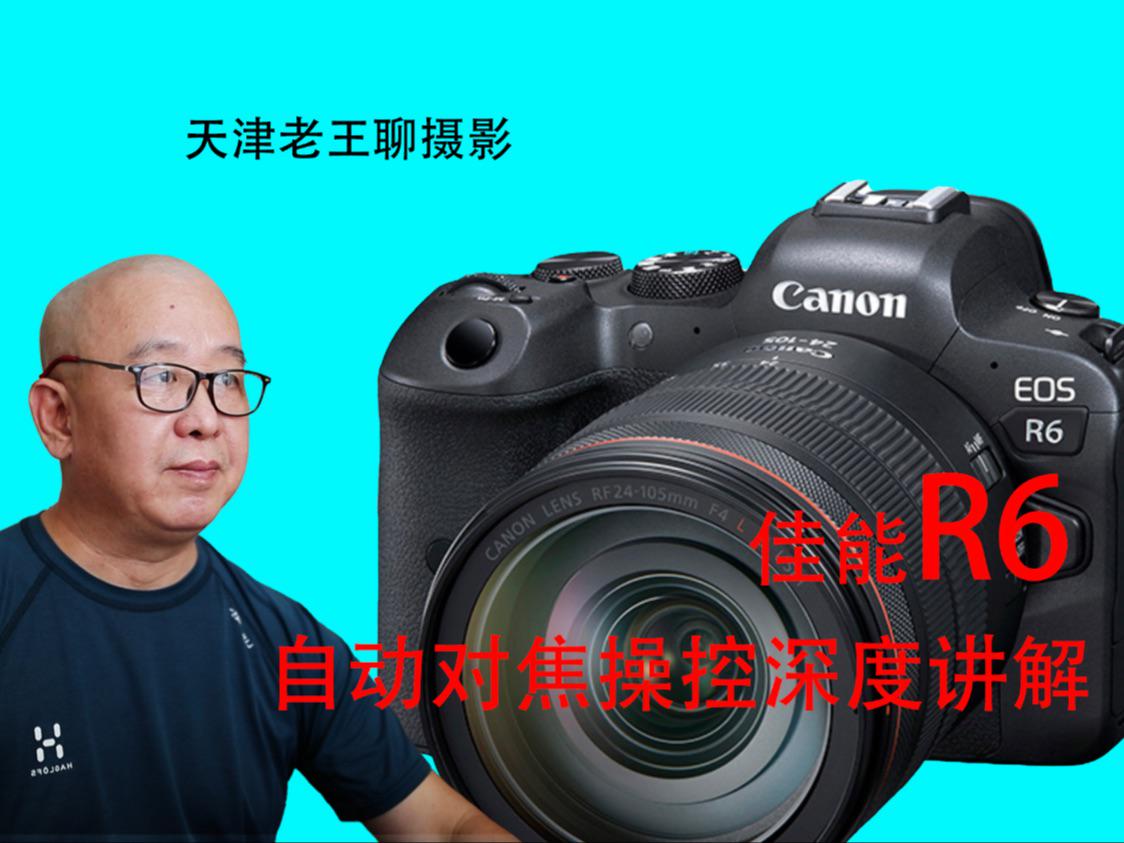 佳能R6魔法时刻，实时对焦的温馨之旅