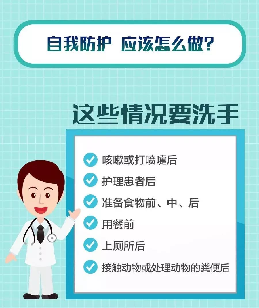 全球共同抗击新冠疫情，预测未来新闻动态与全球进展的新征程