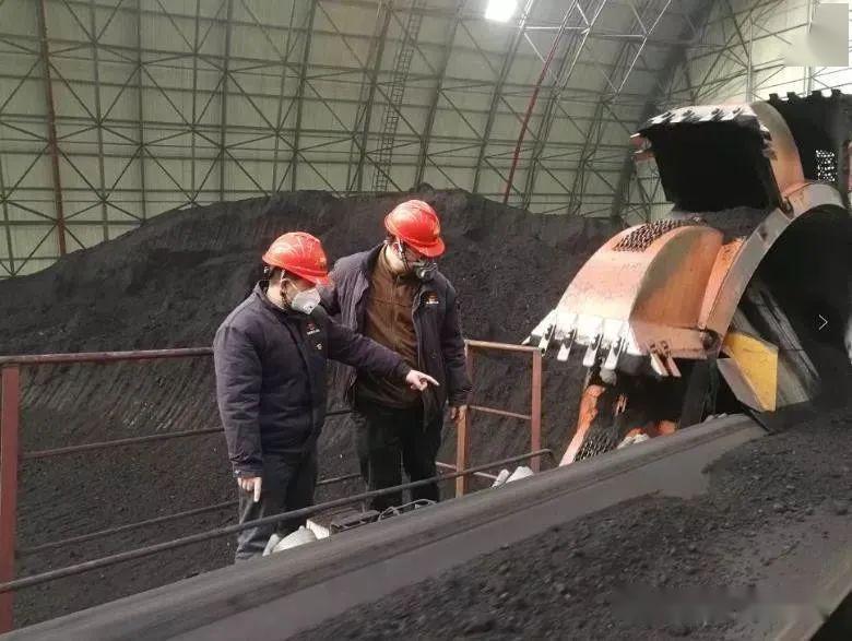 麟游县疫情最新动态深度观察，十二月的回顾与影响