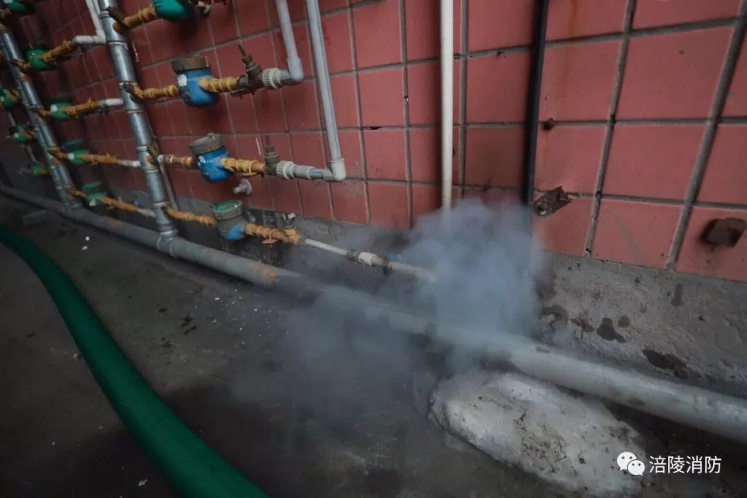 实时切段式除杂甘蔗设备深度解析与全面评测——历史视角的12月18日纪实