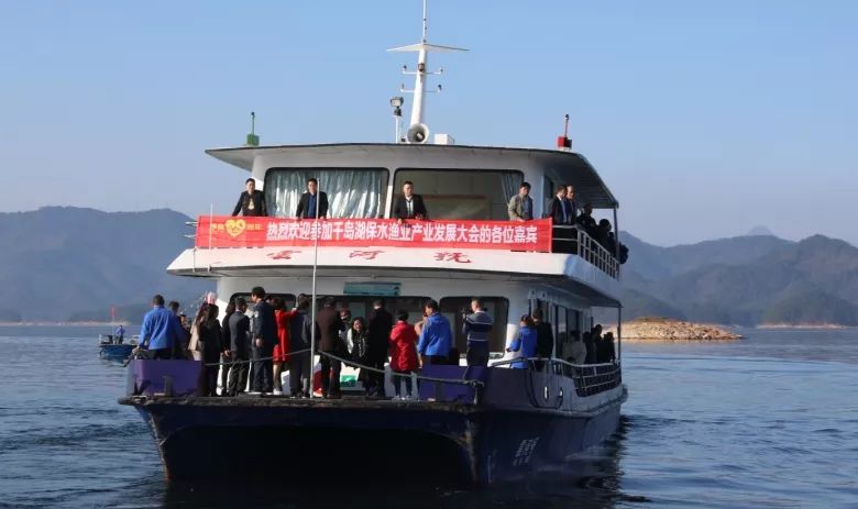 2024年渔业实时报价预测与分析，官网查询与市场趋势展望