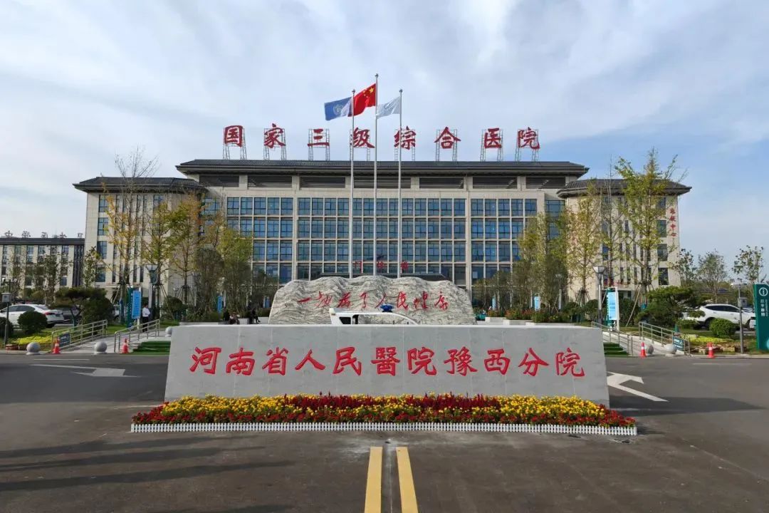 河南省人民医院背后的故事与小巷深处的独特风味探秘，2024年12月18日实时动态揭秘