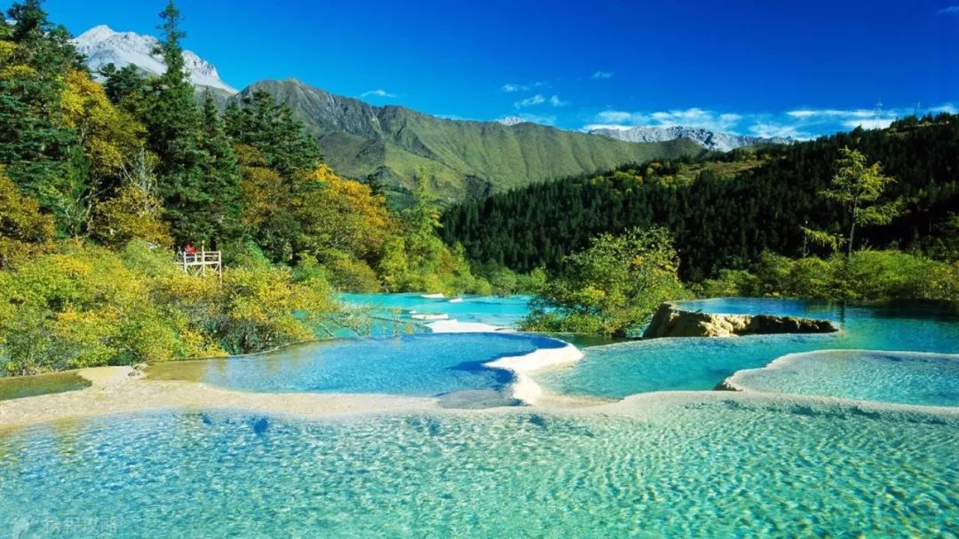 退出实时对讲，与自然对话的奇妙之旅，寻找内心平静的旅程