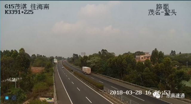 花开无言 第6页