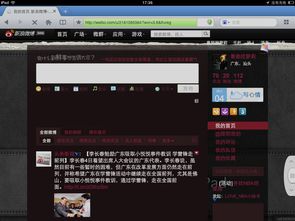 iPad网速监测利器，实时网速显示应用指南（适用于初学者与进阶用户）预测至2024年12月22日的功能展望