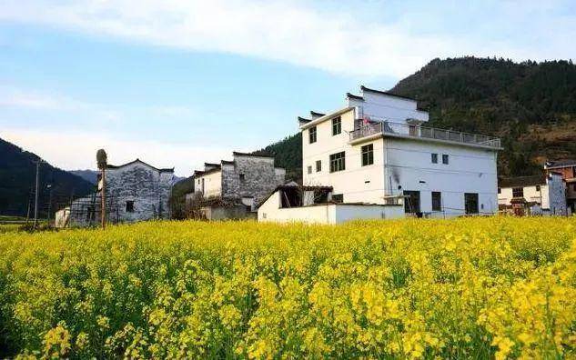 科技赋能下的乡村建房变革，实时拍摄见证新时代智慧农村建设风采