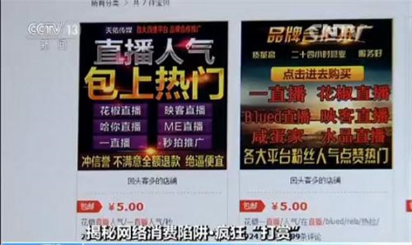 揭秘未来之旅，探寻自然秘境，体验非实时直播的奇妙旅程——2024年12月22日展望