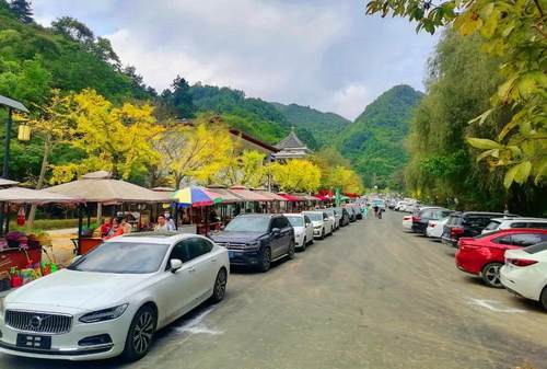 彝海检查站，温情与陪伴的奇妙一天（实时路况报道）