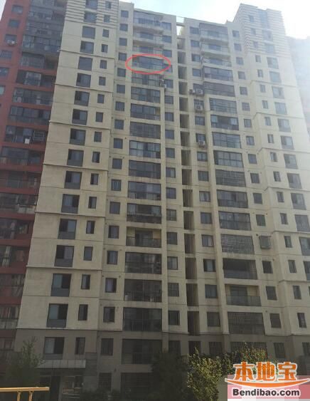 物理降落实验揭秘，重力作用下的震撼动态现象