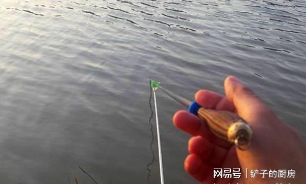 钓鱼诱饵独家秘方，钓鱼的诱饵怎么调制 