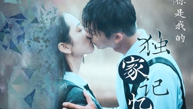 独家记忆的memory，独家记忆的剧情简介 