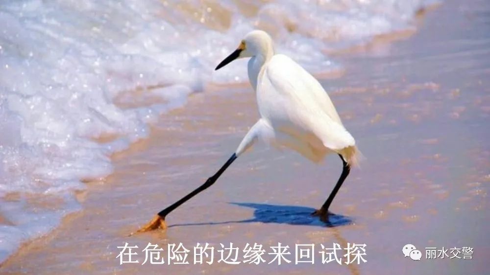 不断地去试探前任的男人，如何试探前任还喜欢你的问题 
