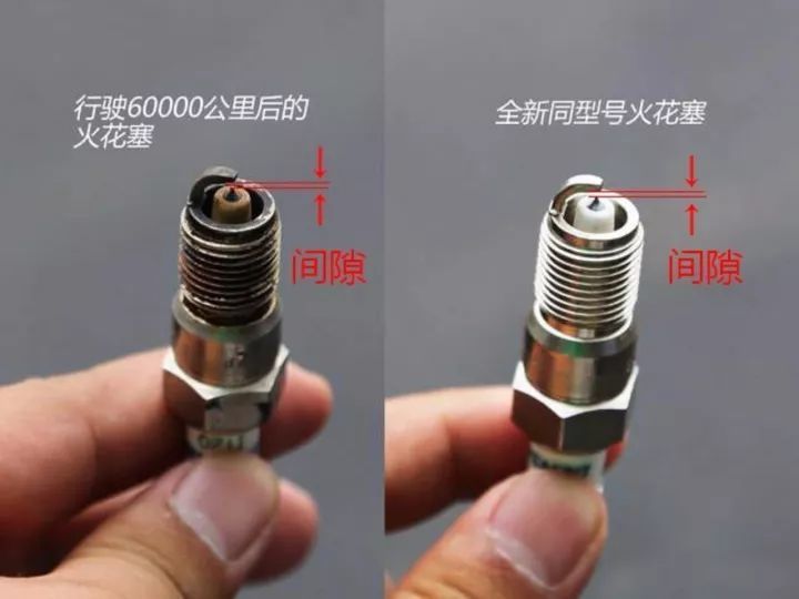 鸟之将死 第2页
