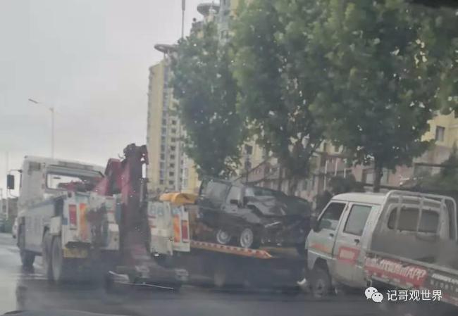 线下采集 第229页