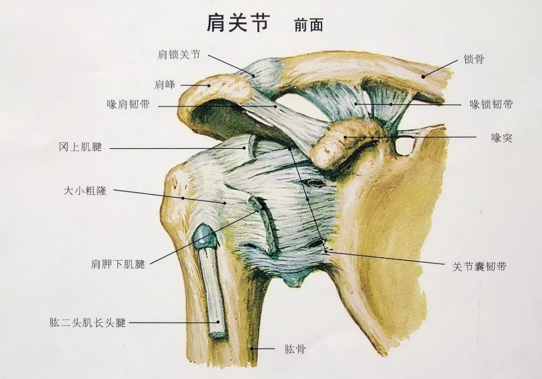揭秘肩周炎突发原因，疼痛不止一时！