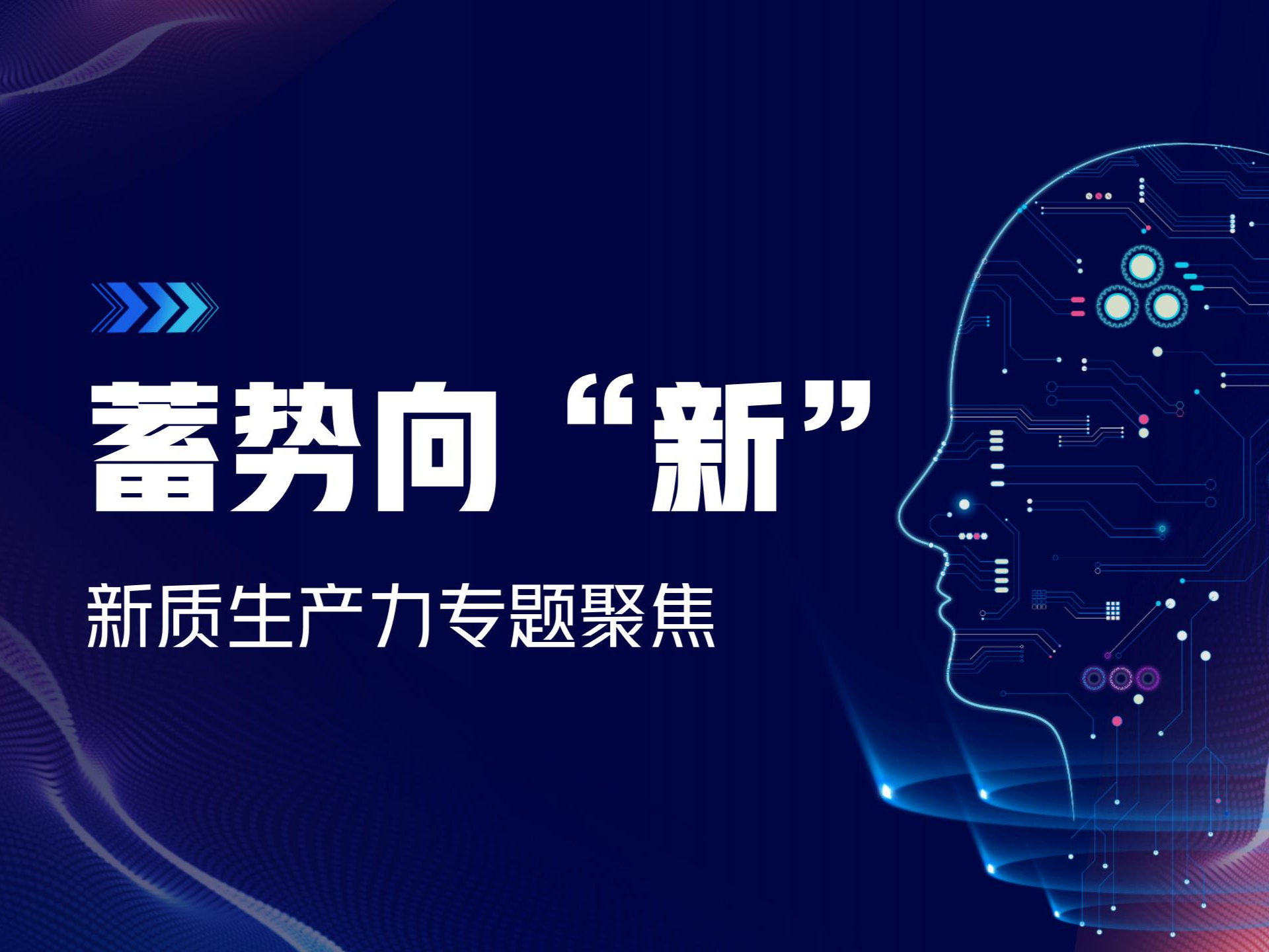 评论网在推动社会进步中的关键作用解析