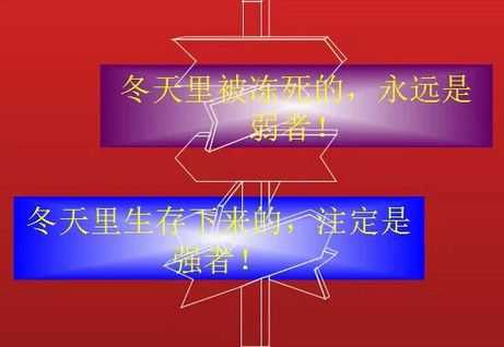 企业持续创新之源，与外界的不懈对话之道