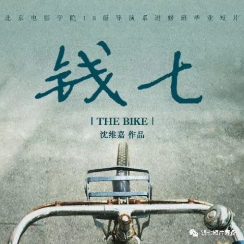割不断的情义，深度解读情感纽带