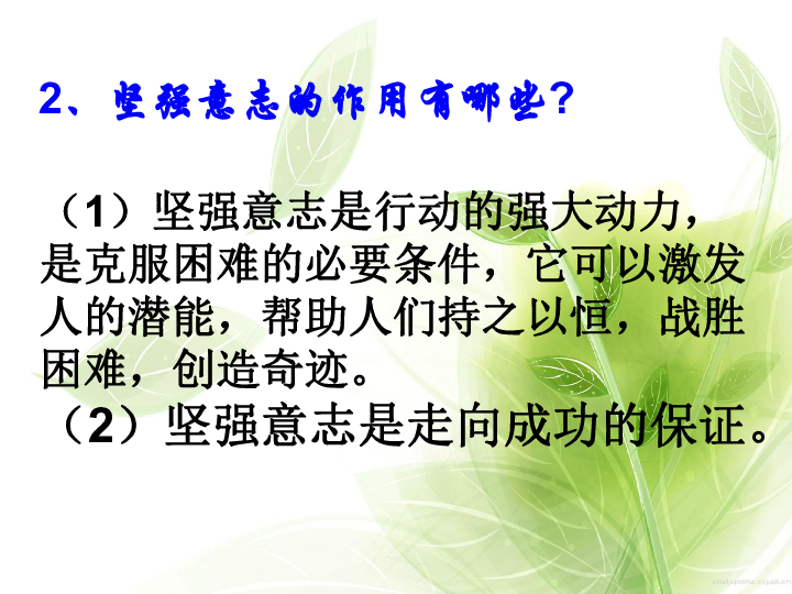 炊粱跨卫 第2页