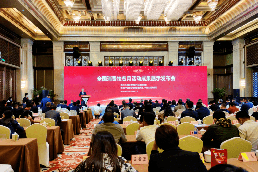 扶贫项目落地成效汇报，成果展示与经验分享