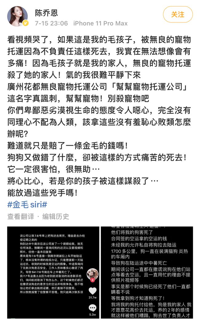 狗突发死亡原因揭秘，预防与应对措施指南