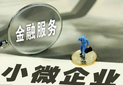 独家贷款机构，金融市场的独特力量揭秘