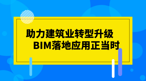 网站专题策划与实施全面教程，从构思到实施的步骤详解
