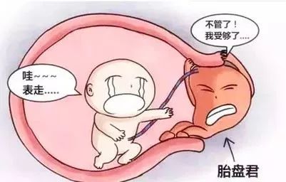 紫癜蔓延全身，深入了解、应对与预防方法