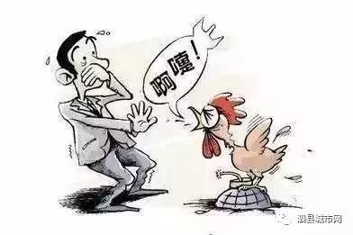 湖南突发流感，湖南发生禽流感疫情视频 
