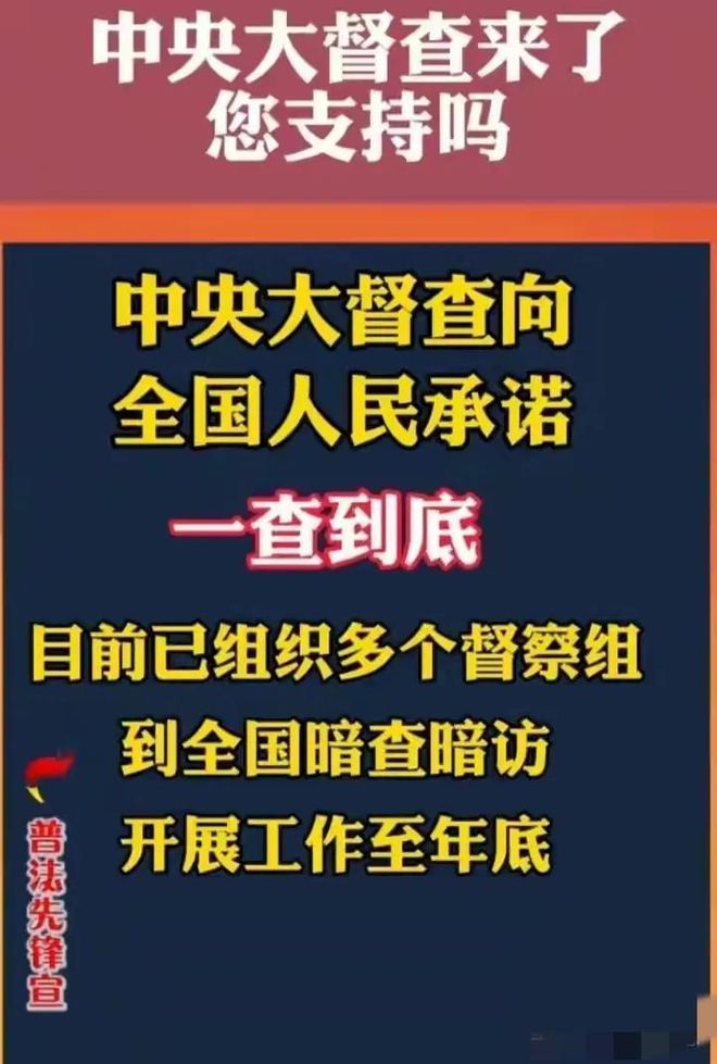 线下采集 第194页