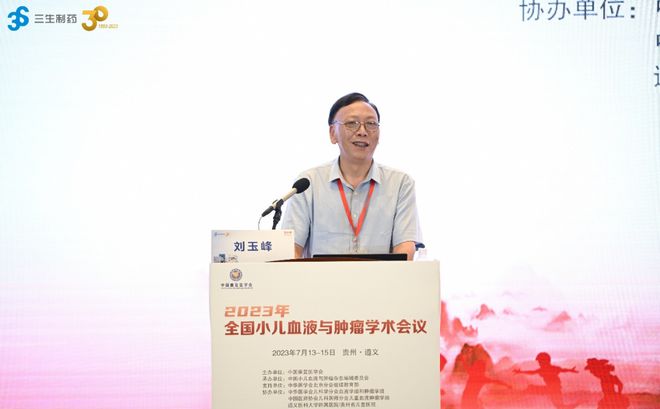深度解析同意词持续应用，多维度探讨与探讨实践
