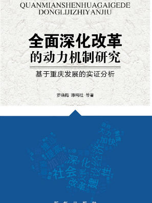 构建全面国家安全体系，贯彻落实国家安全委员会的战略决策之路