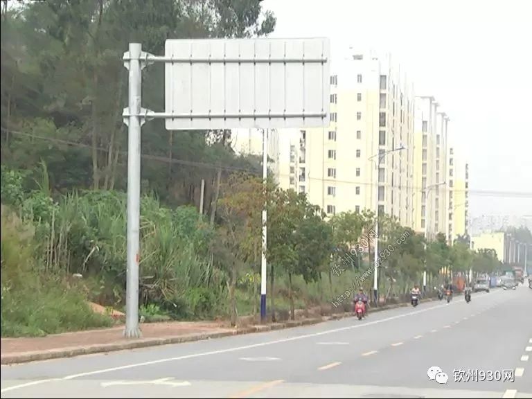 辽宁鞍山失独家庭现状深度解析，挑战与应对之道