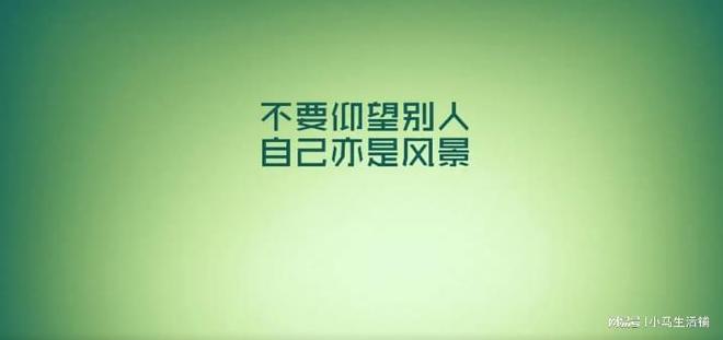 离婚励志语录第六期，重塑自我，开启人生新篇章