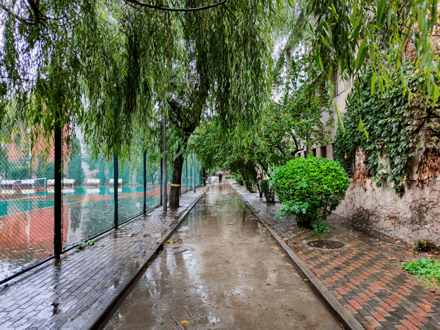 浙江秋雨不断，秋雨淅沥的意思是什么 