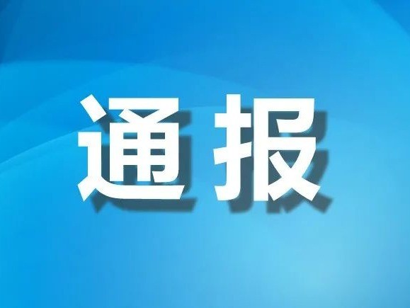 线下采集 第186页