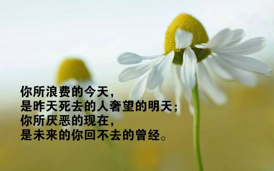 励志成长语录，激发潜力的短句说说