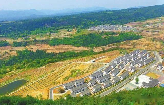 线下采集 第182页