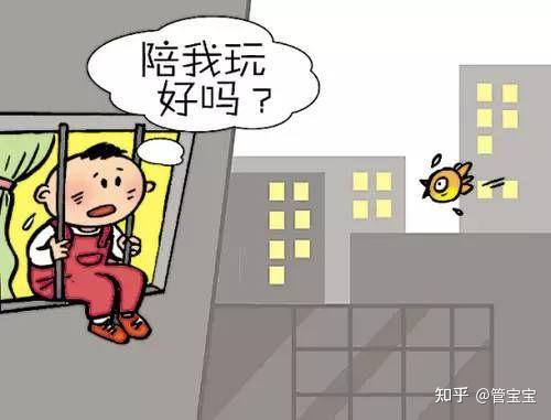 失独家庭再生育，希望与勇气的重建之旅