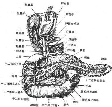 噩噩浑浑 第2页