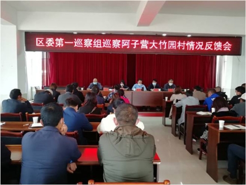 巡察整改深化行动，确保实效，筑牢监督防线