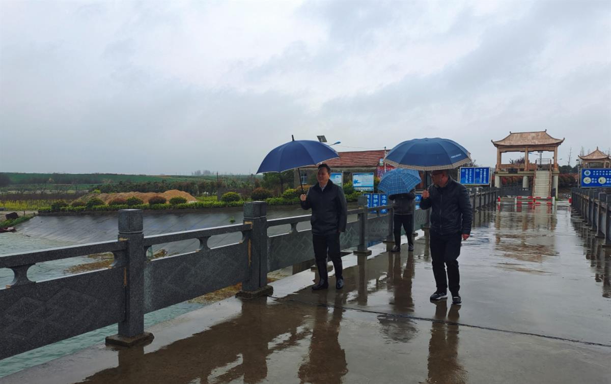 湖北枣阳突发暴雨，湖北枣阳下雨了吗 