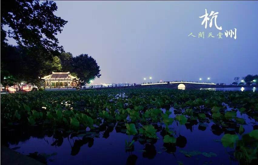 西湖暑期游玩攻略，最新指南带你畅游美景