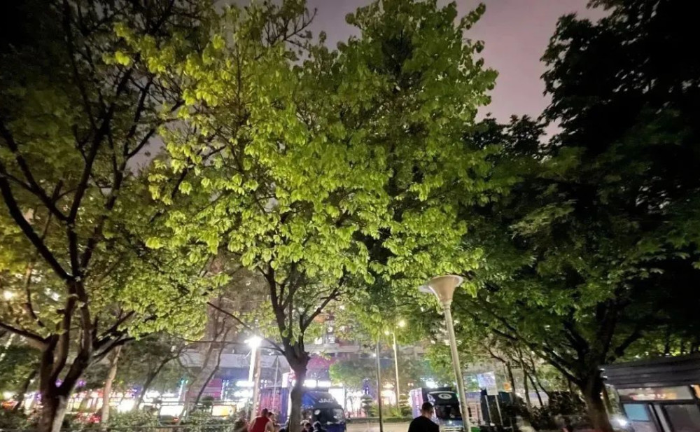 犯而不校 第2页