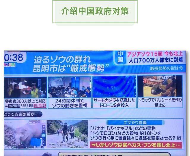 象群最新动态报道，今日更新消息引发关注焦点