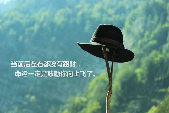 动漫励志语录与座右铭，激发潜能，点燃力量之心！