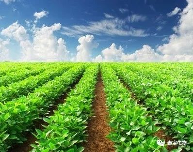 林场林长制实施进展深度解读，成效显著，落地生根！