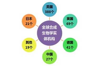 郑州编程公司排名揭秘，行业洞察与深度解析