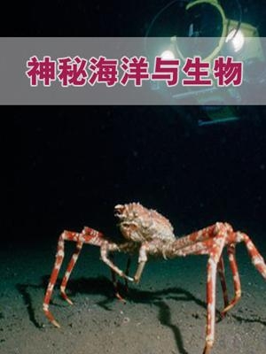揭秘蜘蛛领地前十名神秘生物，探秘未知世界！