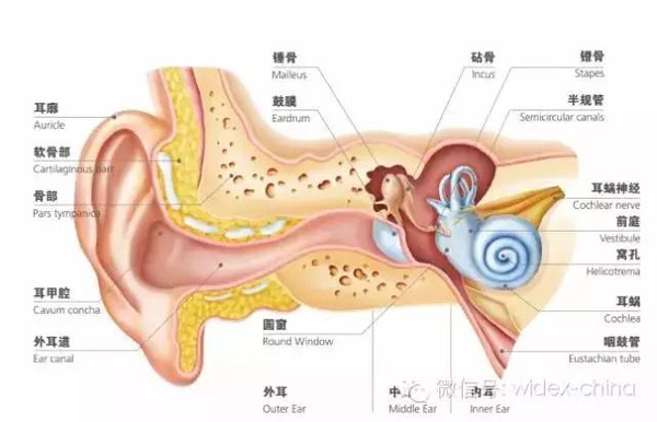 突发单边耳聋，症状、原因与治疗方法全解析